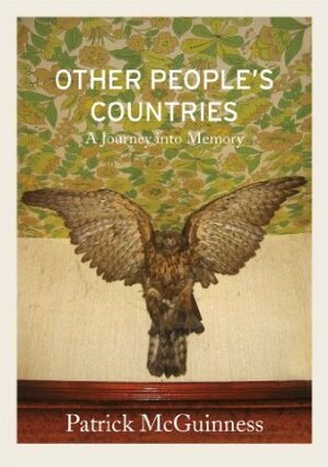 Other People's Countries: A Journey into Memory by Patrick McGuinness