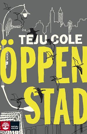 Öppen stad by Teju Cole