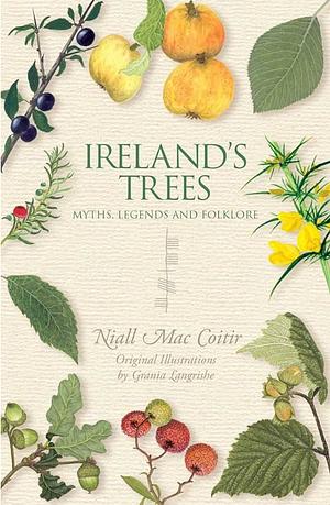 Irish Trees: Myths, Legends & Folklore by Niall MacCoitir, Niall MacCoitir