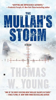 The Mullah's Storm by Tom Young