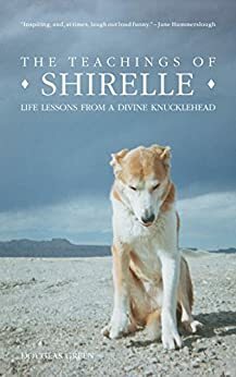 The Teachings of Shirelle: Life Lessons from a Divine Knucklehead by Douglas Green