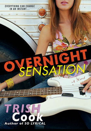 Overnight Sensation by Trish Cook