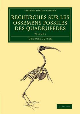 Recherches sur les ossemens fossiles des quadrupèdes - Volume 1 by Georges Cuvier