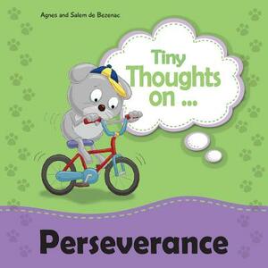 Tiny Thoughts on Perseverance: Learning not to quit by Salem De Bezenac, Agnes De Bezenac