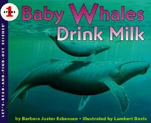 Baby Whales Drink Milk by Barbara Juster Esbensen
