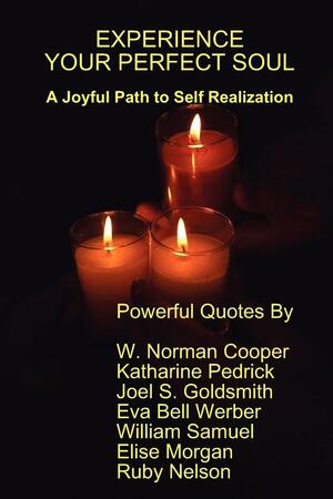 Experience Your Perfect Soul by Joel S. Goldsmith, Eva Bell Werber, William Samuel