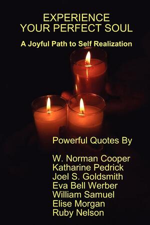 Experience Your Perfect Soul by Joel S. Goldsmith, William Samuel, Eva Bell Werber