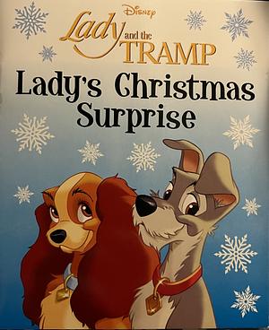 Lady's Christmas Surprise by Elizabeth Spurr