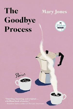 The Goodbye Process: Stories by Mary Jones