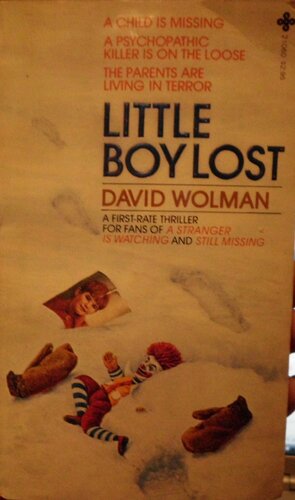 Little Boy Lost by David Wolman