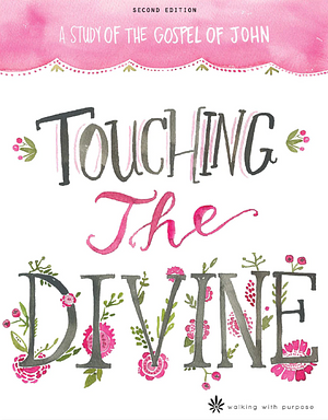 Touching the Divine: The Study of the Gospel of John by Lisa Brenninkmeyer