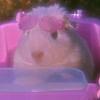 hsb423's profile picture