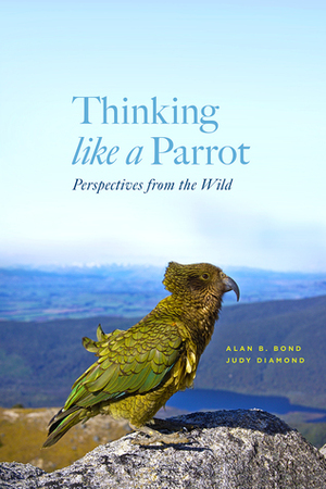 Thinking Like a Parrot: Perspectives from the Wild by Judy Diamond, Alan Bond