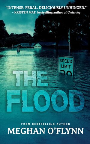 The Flood by Meghan O'Flynn