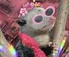 opossumwitch's profile picture