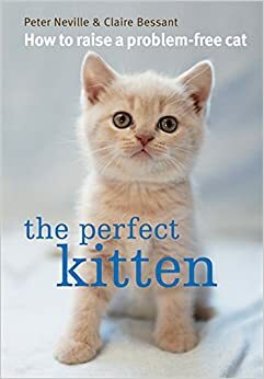 Perfect Kitten by Peter Neville