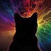 castral's profile picture