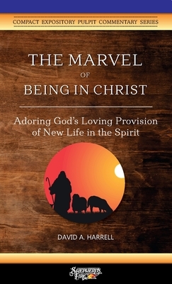 The Marvel of Being in Christ: Adoring God's Loving Provision of New Life in the Spirit by David a. Harrell