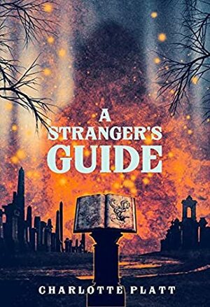 A Stranger's Guide by Charlotte Platt