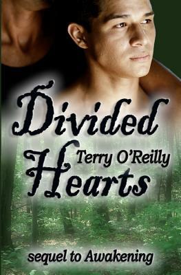 Divided Hearts by Terry O'Reilly