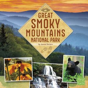 Great Smoky Mountains National Park by Joanne Mattern