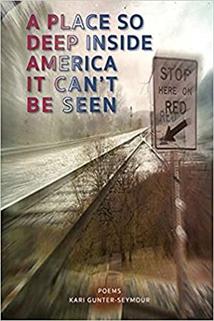 A Place So Deep Inside America It Can't Be Seen by Kari Gunter-Seymour