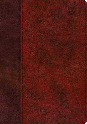 ESV Single Column Journaling Bible, Large Print (Trutone, Burgundy/Red, Timeless Design) by 