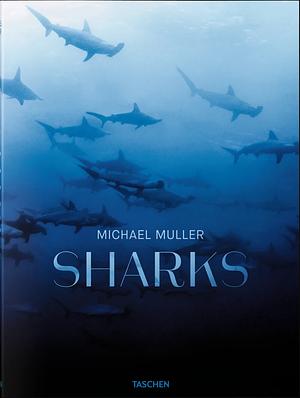 Michael Muller. Sharks by Alison Kock, Philippe Cousteau Jr.