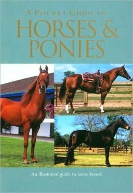 A Pocket Guide To Horses and Ponies by Corinne Clark