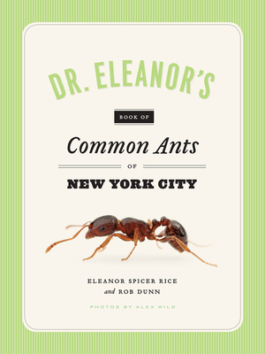 Dr. Eleanor's Book of Common Ants of New York City by Rob Dunn, Alex Wild, Eleanor Spicer Rice
