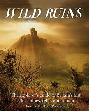 Wild Ruins: The Explorer's Guide to Britain Lost Castles, Follies, Relics and Remains by Dave Hamilton