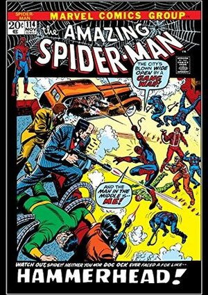 Amazing Spider-Man #114 by Gerry Conway