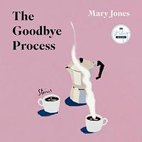 The Goodbye Process: Stories by Mary Jones