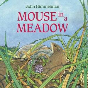 Mouse in a Meadow by John Himmelman