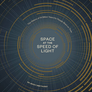 Space at the Speed of Light: The History of 14 Billion Years for People Short on Time by Becky Smethurst