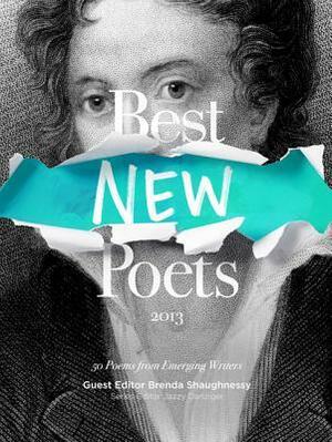 Best New Poets 2013 by Meg Day, Mikko Harvey, Brenda Shaughnessy, Jazzy Danziger