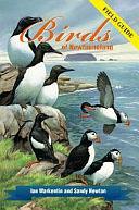 Birds of Newfoundland Field Guide by Sandy Newton, Ian George Warkentin