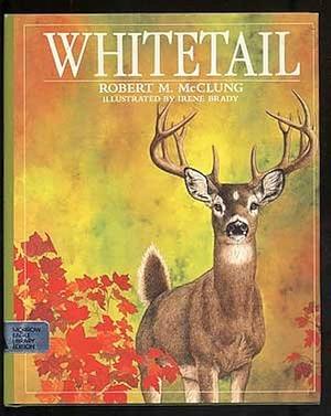 Whitetail by Robert M. McClung