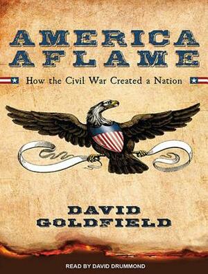 America Aflame: How the Civil War Created a Nation by David Goldfield