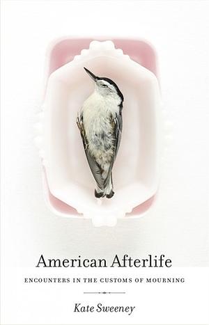 American Afterlife: Encounters in the Customs of Mourning by Kate Sweeney