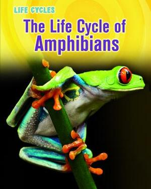 The Life Cycle of Amphibians by Darlene R. Stille