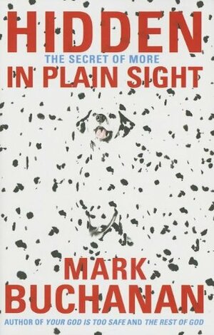 Hidden in Plain Sight: The Secret of More by Mark Buchanan