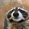 capitalisimo's profile picture