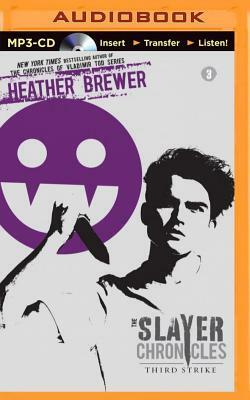 Third Strike by Z Brewer