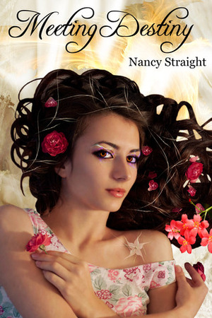 Meeting Destiny by Nancy Straight