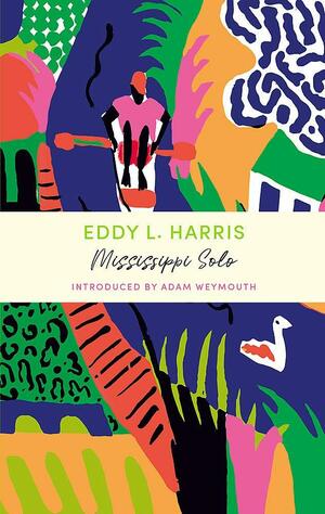 Mississippi Solo: A River Quest by Eddy L. Harris