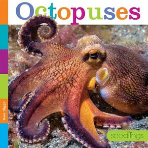 Octopuses by Kate Riggs