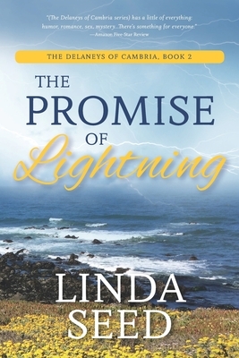 The Promise of Lightning by Linda Seed