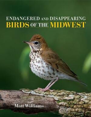 Endangered and Disappearing Birds of the Midwest by Matt Williams