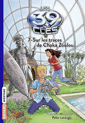 Sur les traces de Chaka Zoulou by Peter Lerangis